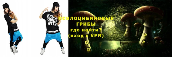 мяу мяу мука Алзамай
