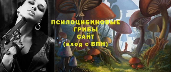 ешки Алексеевка